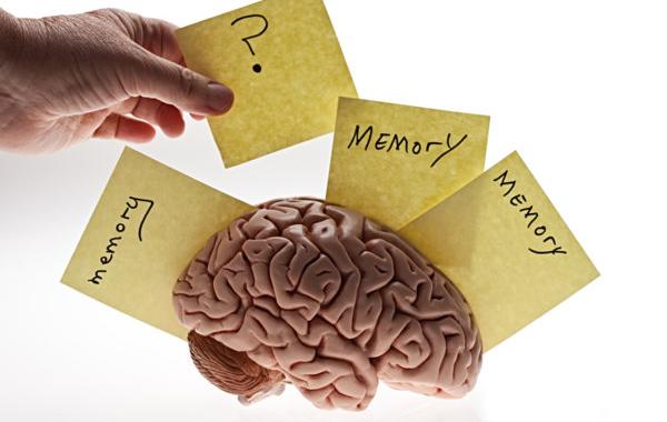 как улучшить память способы хитрости для памяти 