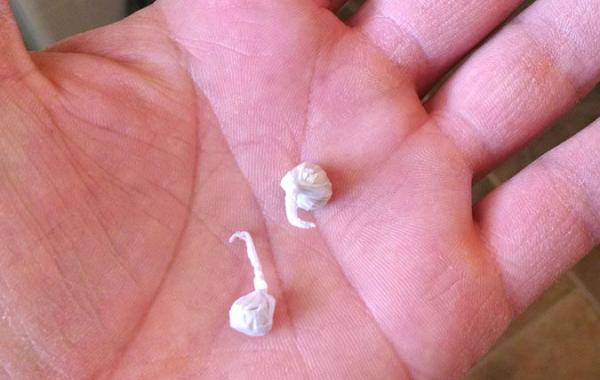 Идея для неожиданного розыгрыша в туалете