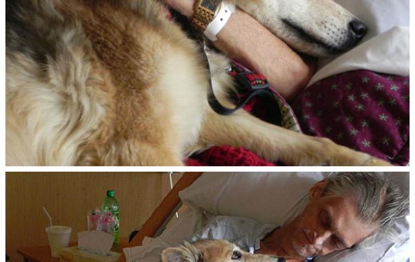 10 трогательных последних желаний умирающих людей