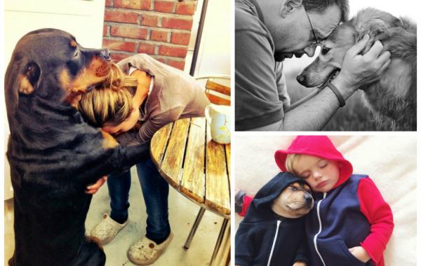 фотографии, доказывающие, что нет никого преданней собаки