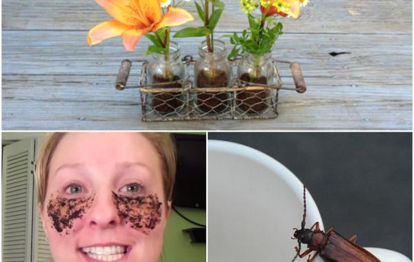 30 примеров неожиданного использования кофейной гущи, которые сделают вашу жизнь проще 