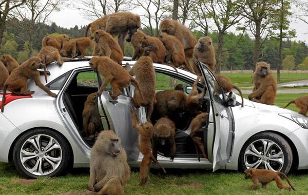 Ситуации,в которых лучше не оказываться 