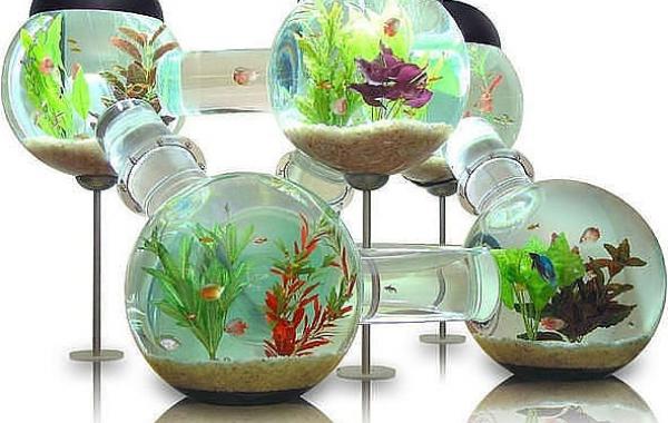 Необычные и интересные штуки