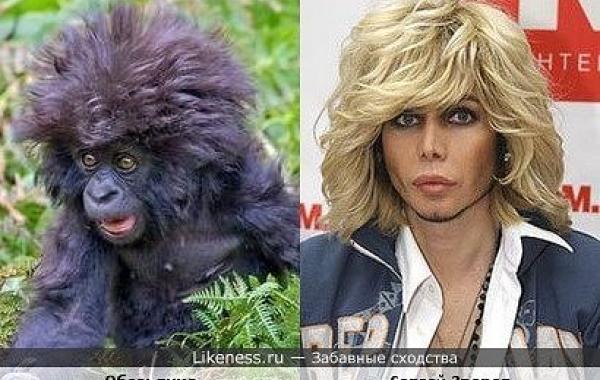 Забавные сходства мировых звёзд и персонажей мультфильмов, животных