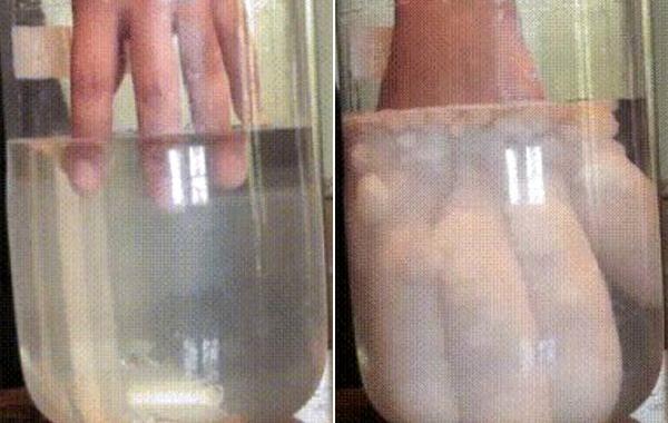 сумасшедшие химические эксперименты, необычные химические эксперименты, химические реакции гифки, химические реакции gif