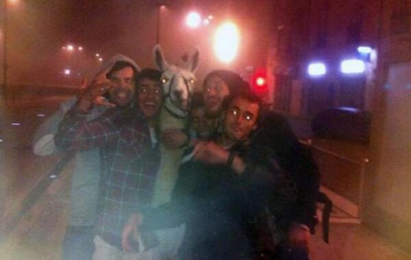 Самые казусные и нелепые преступления за 2013 год