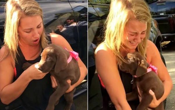 девушка обрадовалась щенку и не увидела кольцо, девушка и щенок, Шелби Такер