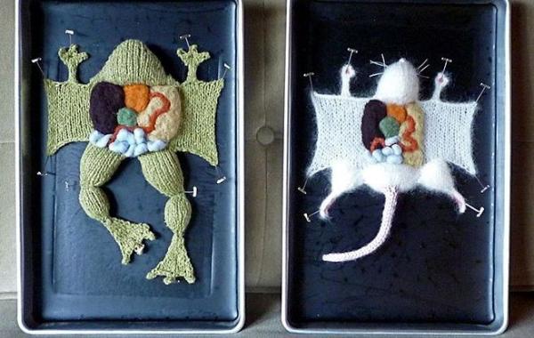 Вязаная анатомия,препарированные вязаные животные, Эмили Стоункинг, Emily Stoneking