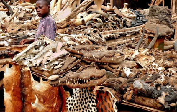 Четыре главных колдовских рынка для истинных жрецов и настоящих ведьм