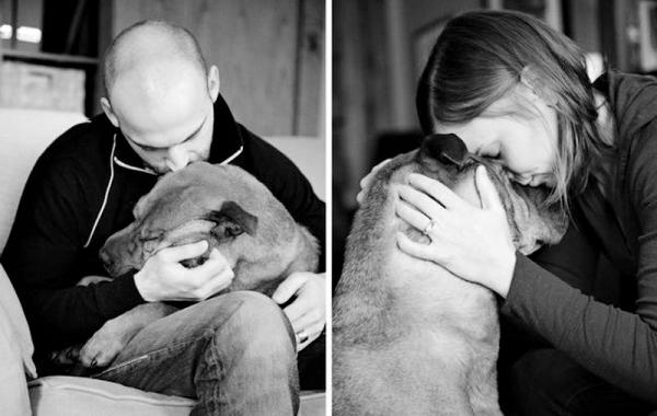 Прощание с четвероногим другом, Сара Бет Эрнхарт