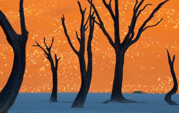 снимки похожие на картины