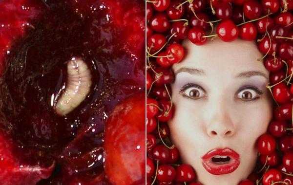 отвратительные факты о продуктах 