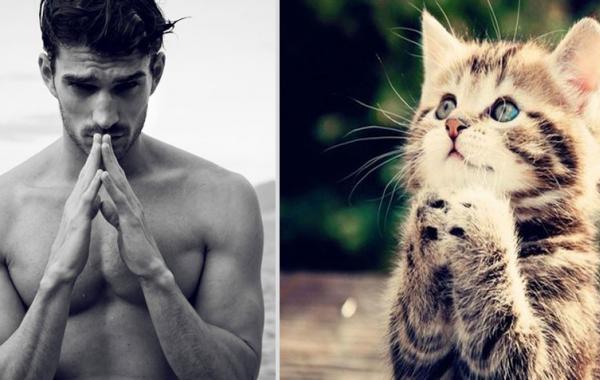 Парни похожи на котиков