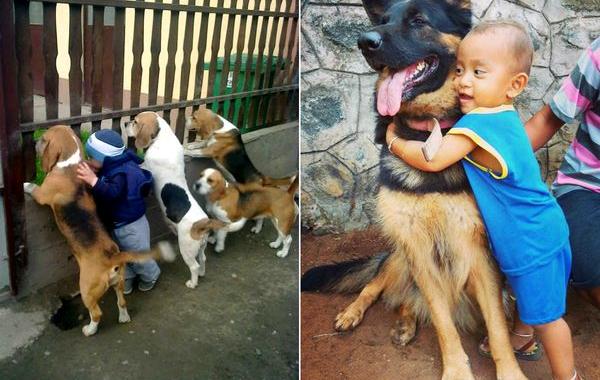 вашему ребёнку нужна собака, собака лучший друг ребёнка