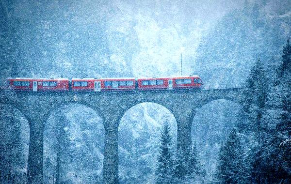 National Geographic Photo Contest 2016, фотоконкурс National Geographic 