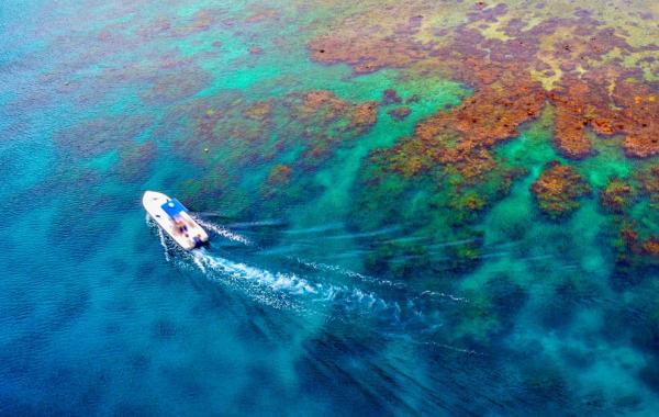  National Geographic май 2013 обои