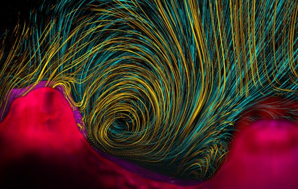 7 невероятных научных визуализаций прошлого года, Science