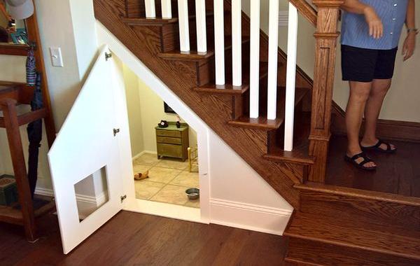 владелица чихуахуа соорудила комнату под лестницей, чихуахуа Панчо