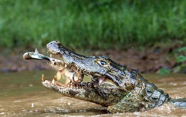 Победители National Geographic Traveler Photo Contest 2016