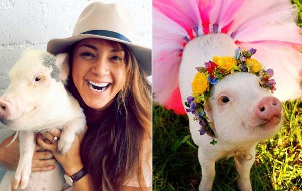 Мини-поросёнок Гамлет, девушка с эпилепсией и её поросёнок