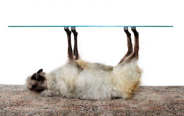 Armin Blasbichler Orson, I'm home