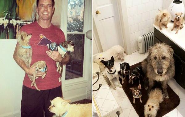 Мужчина забирает старых больных собак из приюта, старые собаки из приюта