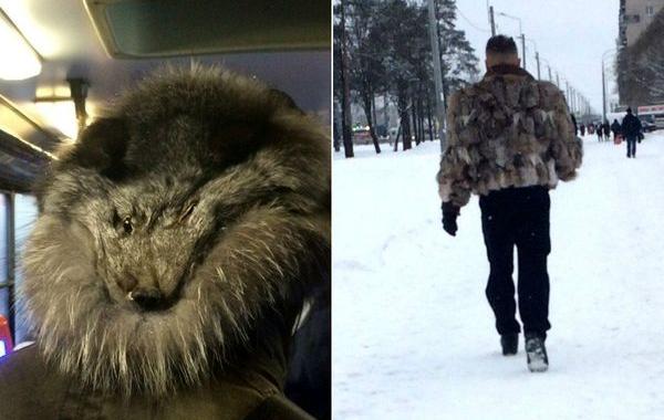 странная мода петербургских улиц, модники питера