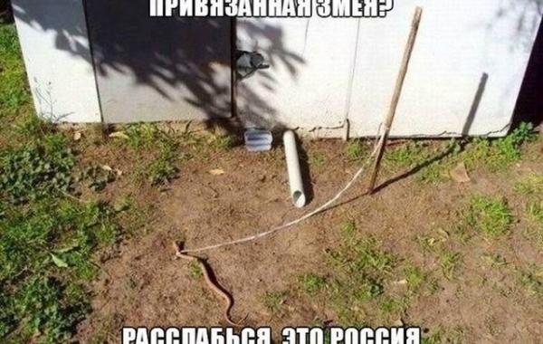 смешные фотографии 