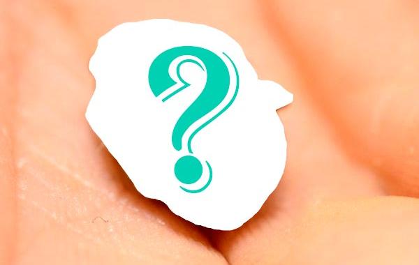 Новорождённый младенец хамелеона. только что родившийся хамелеон