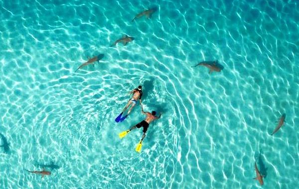 Drone Aerial Photography Contest 2015, аэрофотосъемка дроны, фотографии сделанные при помощи дронов, конкурс фотографии летающие дроны