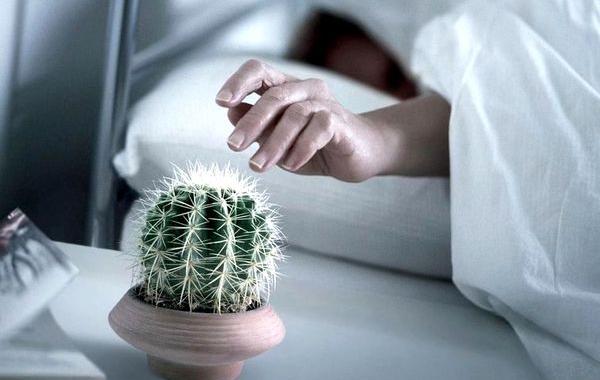 7 способов которые заставят ваш мозг проснуться, советы для подзарядки мозга