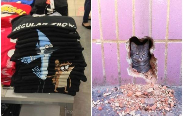 рай для перфекциониста, совершенные фотографии, идеальные фотографии