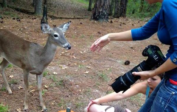 олень забрел в кадр, животные фотобомбы, олень фотосессия ребенок в сказку