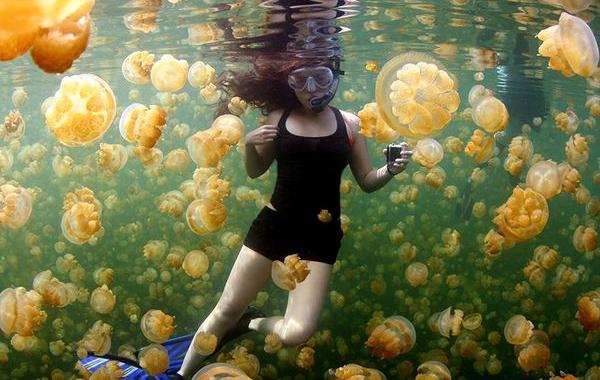 National Geographic, лучшие фотографии National Geographic, National Geographic за май 2015