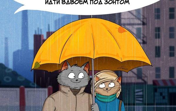 я люблю осень, за что любят осень, Bird Born