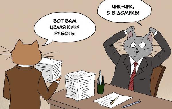 Bird Born, Если бы всё было как в детстве, если бы детство никогда не заканчивалось 