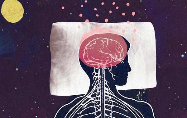 факты о сне и сновидениях, всё о сне