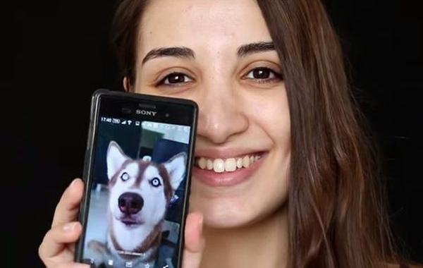 деушка превратилась в хаски, девушка макияж хаски, девушка макияж превратилась в собаку