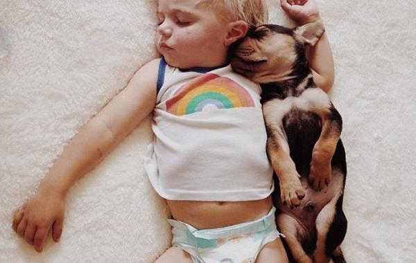 Тео и Бо – два малыша, которые любят поспать, theo and beau