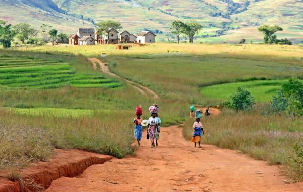 Удивительный остров Мадагаскар