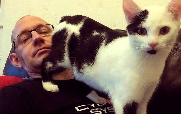 поймут только те у кого есть кот