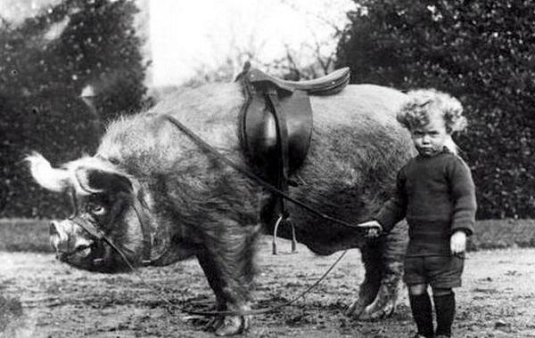 Исторические кадры, редкие архивные фотографии, исторические события, редкие фото звёзд