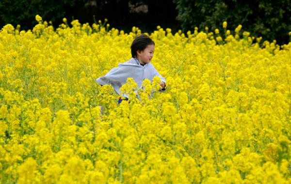 Начало весны в разных уголках планеты