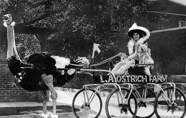 Исторические кадры, редкие архивные фотографии, исторические события, редкие фото звёзд