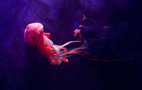 Краски, в стакане воды