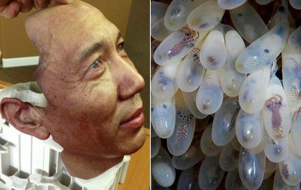 познавательные фотографии, необычные фотографии