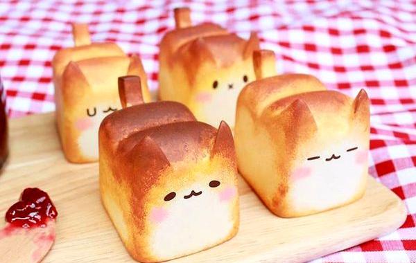 Котохлеб, cat bread, Рато Ким, Rato Kim