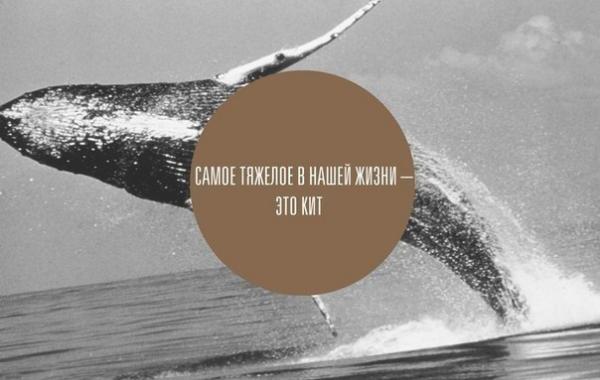 Смех продлевает жизнь.Живите вечно!