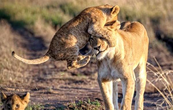 National Geographic Traveler Contest 2015, National Geographic 