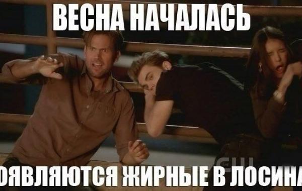 Позитив и юмор в смешных фотографиях